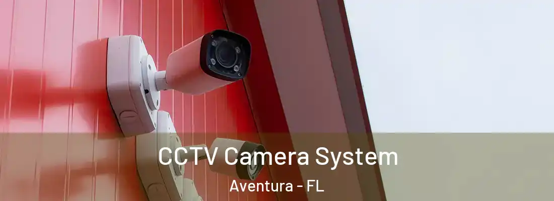 CCTV Camera System Aventura - FL