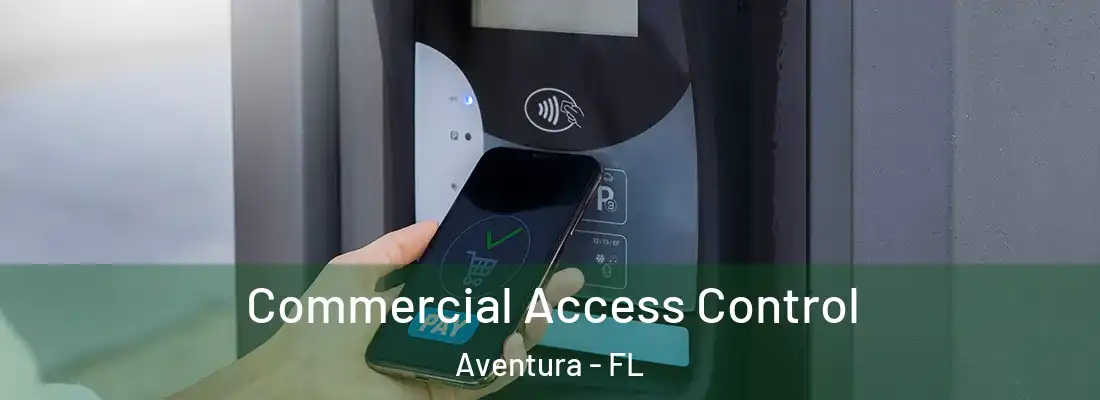 Commercial Access Control Aventura - FL