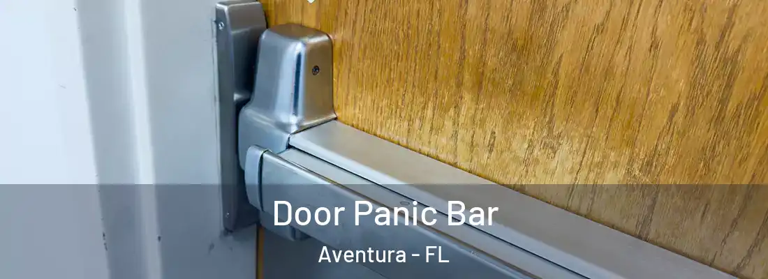 Door Panic Bar Aventura - FL