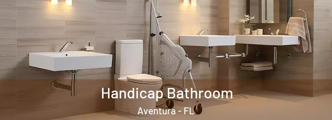 Handicap Bathroom Aventura - FL
