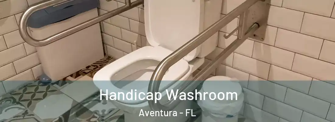 Handicap Washroom Aventura - FL