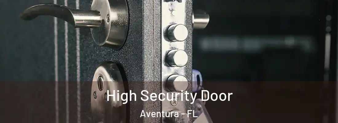 High Security Door Aventura - FL