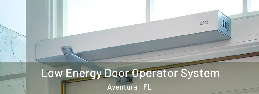 Low Energy Door Operator System Aventura - FL