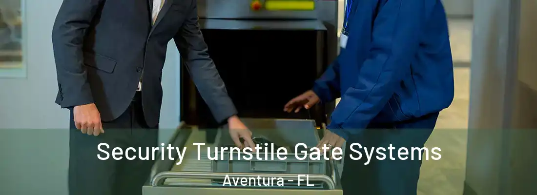 Security Turnstile Gate Systems Aventura - FL